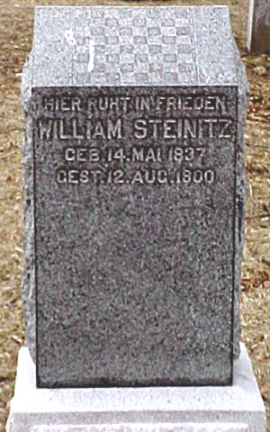 Steinitz grave